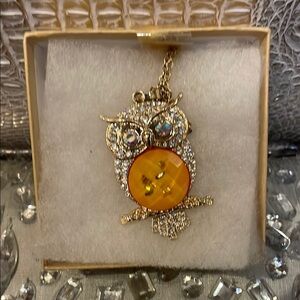 Gold Owl Fashionable Necklace NWOT